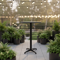 Table haute pliable universelle légère et polyvalente pour bar, restaurant, café