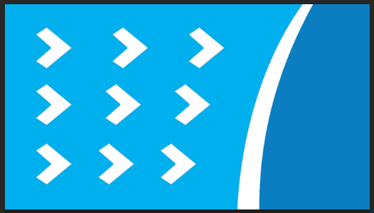Guangzhou Suxin Industry Co., Ltd. logo