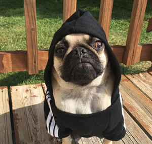 Sweat à capuche pour chien <span class=keywords><strong>Golden</strong></span> <span class=keywords><strong>Retriever</strong></span>, vêtement à la mode, grand gabarit - Product Image 6