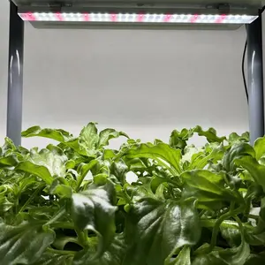 Jardim interno com 3 pacotes de luz LED para cultivo de vegetais, sistema de luz auto-rega, vaso de flores e vegetais, kit de microgreen para cultivo de plantas, kit de plantas de jardim interno