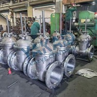 Válvula de Compuerta de Acero Inoxidable para Vapor, API 602, Regulación de Precisión, Tipo Y, PTFE, Válvula de Cabeza de Pozo