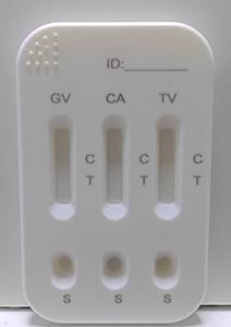Prueba Combinada 3 en 1 de Antígenos de Candida Albicans/Trichomonas/Vaginalis+Gardnerella Vaginalis en Cassette para Detección de Enfermedades de Transmisión Sexual en Mujeres - Product Image 5