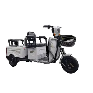 Factory Supply Economic Fat Tire Passenger Electric Tricycle Cargo Pedal
