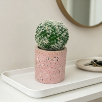Pot de plante en béton écologique style ferme Terrazzo rose, mini jardinière pour cactus et succulentes, petit récipient d'intérieur pour bureau