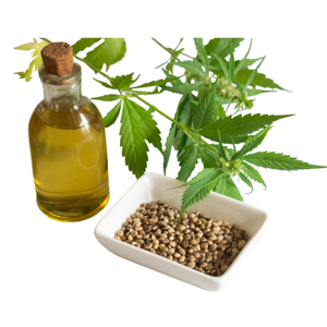 शुद्ध प्राकृतिक जैविक भांग 100% थोक मूल्य - Product Image 5