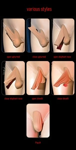 2025 été Sexy ouvert/fermé entrejambe collants hommes/femmes brillant huile lisse tricoté collants couverture complète du corps - Product Image 6