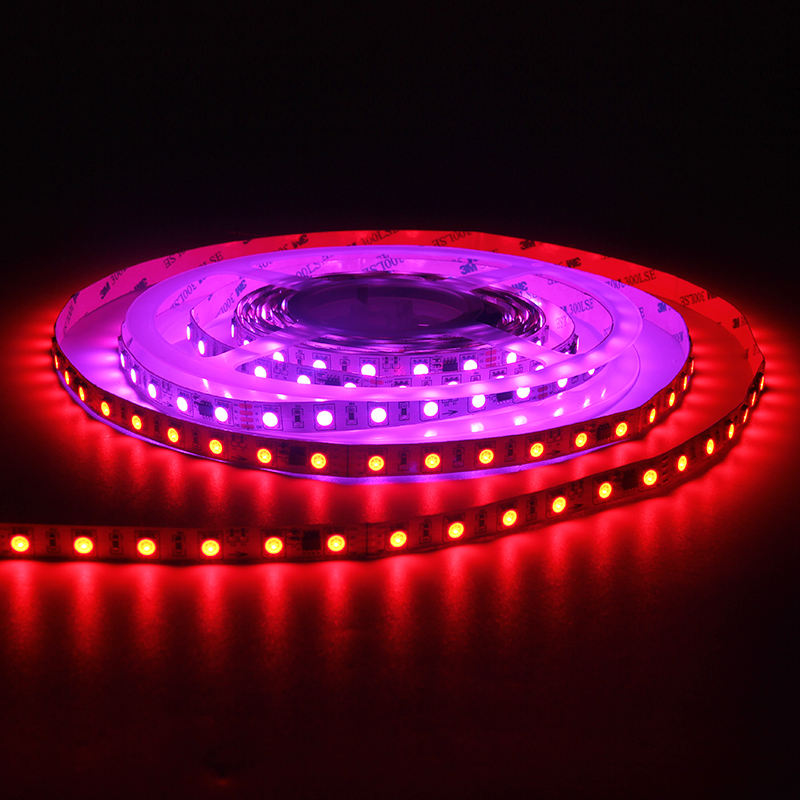 Pixel 5050 60D Addressable RGB Magic DC 5V Running RGBW LED Strip With Controller