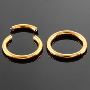 Anello al <span class=keywords><strong>naso</strong></span> Color <span class=keywords><strong>argento</strong></span> da 8/10mm 14g e 16g anello a segmenti senza cuciture anello a cerchio al <span class=keywords><strong>naso</strong></span> in titanio gioielli Piercing per il corpo aperto - Product Image 6