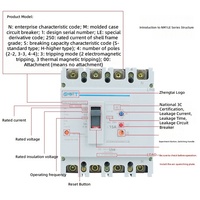 Disjoncteur différentiel NM1LE-250S4300A 4P 125A/160A/225A/200A/250A 380V 50Hz