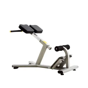 Fitness studio Verwenden Sie Fitness gerät/J-026 Roman Chair Body Fit Maschinen