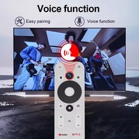 Grosir TV Remote Control pengganti Universal Smart Google TV Remote ONN Mecool TV Android kotak suara pengendali jarak jauh NVTC