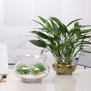 Bac rond à <span class=keywords><strong>poisson</strong></span> <span class=keywords><strong>rouge</strong></span> transparent, pot de réservoir de <span class=keywords><strong>poisson</strong></span> <span class=keywords><strong>avec</strong></span> bordure à volants - Product Image 2