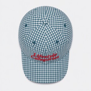 Wholesale Custom Logo Silk Screen Printed Checkered Leopard Flat Embroidered Nylon Mesh Baseball <b>Cap</b> <b>Waterproof</b> Quick Dry - Product Image 6