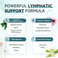 Complément alimentaire en capsules à base de plantes, technologie liposomale de glutathion végétalien GMP, 1180 mg, soutien au drainage lymphatique, marque privée OEM