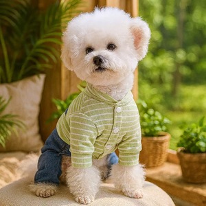 ציוד לחיות מחמד בגדי חיות מחמד חדשים וחמודים 2026 מכנסי ג'ינס לריצה לכלבים אוברולים לכלבים פיג'מות בגדי ג'ינס לכלבים לחיות מחמד קטנות - Product Image 3