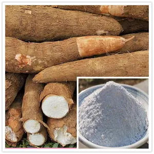 Machines complètes de traitement du manioc Usine de traitement de farine de manioc séché