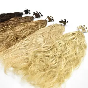 Factory Supplier genius hair weft No Return Hair from Russian