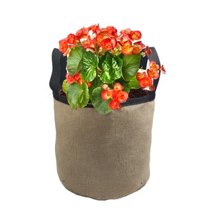 Suministros <span class=keywords><strong>de</strong></span> jardín <span class=keywords><strong>de</strong></span> 20 galones hechos a medida <span class=keywords><strong>de</strong></span> fábrica, bolsas para cultivo <span class=keywords><strong>de</strong></span> <span class=keywords><strong>macetas</strong></span>, maceta <span class=keywords><strong>de</strong></span> tela <span class=keywords><strong>de</strong></span> yute, bolsa <span class=keywords><strong>de</strong></span> jardín <span class=keywords><strong>de</strong></span> <span class=keywords><strong>arpillera</strong></span>, maceta <span class=keywords><strong>de</strong></span> cultivo personalizada - Product Image 3