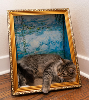 Meubles pour animaux de compagnie : Maison pour chat, lit pour chien, griffoir, cadre photo, motif peinture à l'huile Art Déco personnalisé, doré, en carton ondulé, cadeau