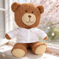MSYO-T-shirt pull en peluche unisexe, 30cm, avec logo personnalisé, pour cadeau de Noël, à l'échelle 1:6