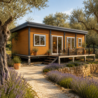 Maison de bureau préfabriquée en conteneur de 40 pieds, maison préfabriquée en conteneur, cabane en bois préfabriquée, maison solaire hors réseau, maison modulaire en bordure du lac
