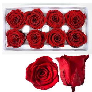 Roses éternelles de qualité supérieure, grade 'A', vente chaude, cadeaux de Noël, Thanksgiving, fête des mères, prix d'usine - Product Image 1
