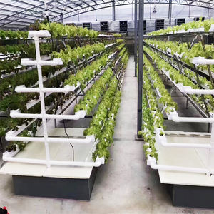 Mqfm — serre de culture hydroponique intérieure, à bas prix, tour verticale intelligente pour jardin, tomate, fraise, pour vente - Product Image 4