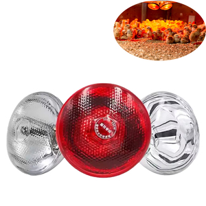 Lámpara de Calor Infrarroja para Aves de Corral, Venta al por Mayor de Fábrica, Personalizable, para Lechones y Pollitos - Product Image 1