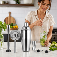 Juego de Coctelería de Acero Inoxidable de 7 Piezas con Jigger, Muddler, Colador y 2 Vertedores para Bar en Casa, Fiestas y Restaurantes
