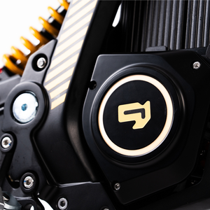 Moto électrique 79Bike LYNX 10KW 72V 40Ah, moto tout-terrain, motocross électrique pour adultes, longue portée - Product Image 4