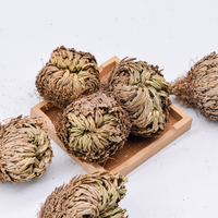 Juan Bai – Herbes de haute qualité, produits chinois à base de plantes pour stimuler la circulation sanguine et favoriser les menstruations