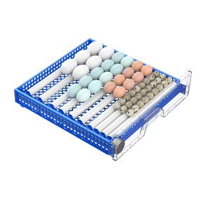 Incubadora de huevos con control automático de temperatura y humedad, máquina para incubar huevos, nuevo diseño, 256 - Product Image 3