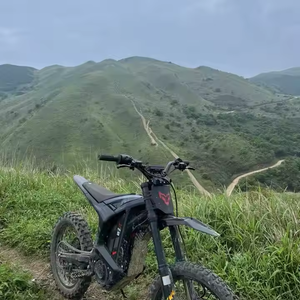 Phong Cách Mới Nhất Bắc Cực Leopard Mây Leopard Xe Pro S <span class=keywords><strong>2025</strong></span> Xe Máy Điện 125 Km/h Pre-Bán 72v55ah 20kW - Product Image 2