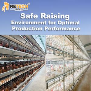 Basit Yapılı Kümes Hayvan Çiftliği Tavuk Kümesi 128 Kuş 10000 Yumurtacı Tavuk Kafesi Satılık - Product Image 6