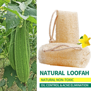 100% Natural Organic Exfoliating Scrub <strong>Lofa</strong> Loofa Luffa Loffa Loofah Eco-Friendly Exfoliating <strong>Shower</strong> for Bath Brush 10 cm - Product Image 3