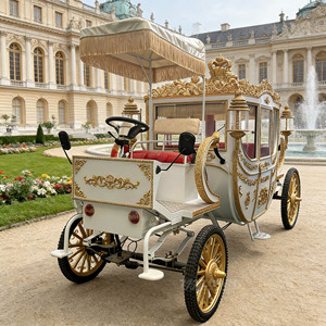 Carruaje Eléctrico de Alta Calidad ZOWN, Nuevo Diseño, Estilo Princesa Cenicienta, 4 Ruedas, para 4-6 Personas, Ideal para Bodas, Eventos y Turismo - Product Image 1