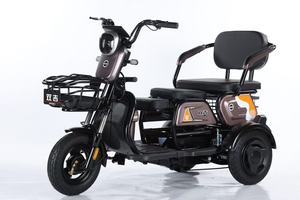 Tricycle pour passagers 1000W, tricycle adulte, tricycles - Product Image 2