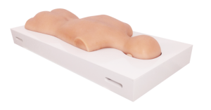 Maniquí Multifuncional <span class=keywords><strong>de</strong></span> Medio Cuerpo para Entrenamiento <span class=keywords><strong>de</strong></span> Medicina Tradicional China, Modelo <span class=keywords><strong>de</strong></span> Práctica <span class=keywords><strong>de</strong></span> <span class=keywords><strong>Acupuntura</strong></span>, Moxibustión, Ventosas, Gua Sha y Tui Na <span class=keywords><strong>de</strong></span> Silicona - Product Image 3