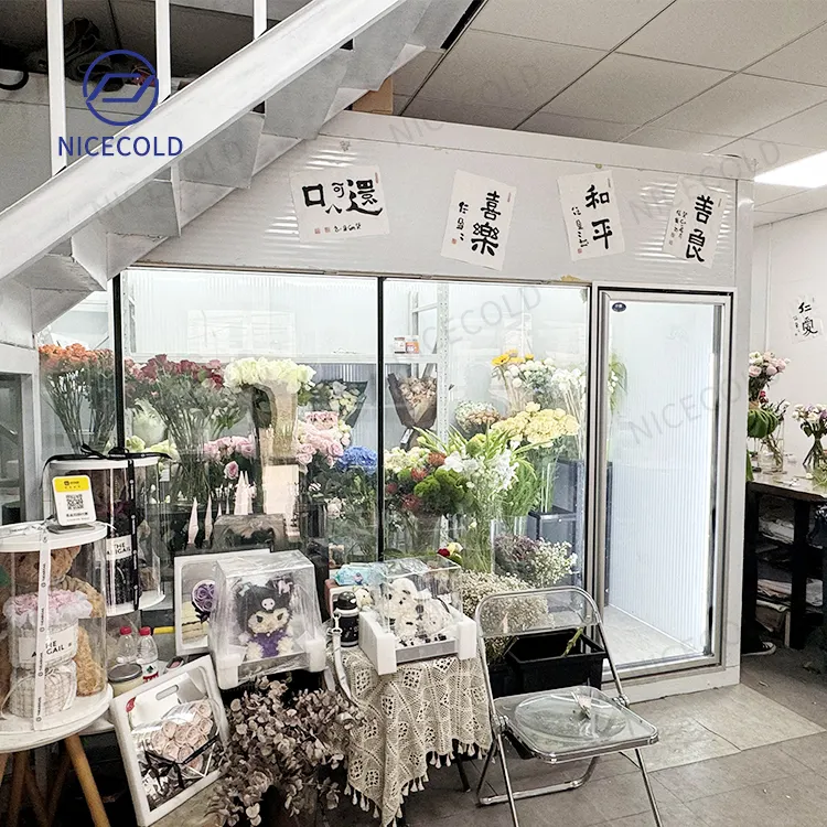 Glass Door Refrigerator Display Walk fn Cold Room Cooler for Flower Shop