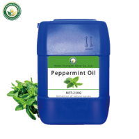 Huile Essentielle de Menthe Poivrée 100% Pure Distillée à la Vapeur, Arôme Mentholé, Vente en Gros pour Arômes Alimentaires, Cosmétiques, OEM, Marque Privée