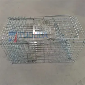 Galvanized Large Collapsible Humane Live Animal Cage Trap