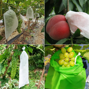 Bolsas de <span class=keywords><strong>malla</strong></span> de tela <span class=keywords><strong>no</strong></span> tejida <span class=keywords><strong>para</strong></span> cubrir frutas, bolsas de <span class=keywords><strong>malla</strong></span> con cordón, bolsas de <span class=keywords><strong>malla</strong></span> protectoras <span class=keywords><strong>para</strong></span> plantas, frutas y flores - Product Image 6