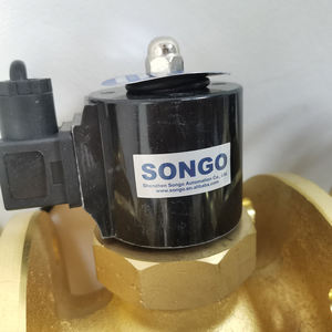 Songo 16bar Ip68 Hogedruk 2 Way 24vdc Normaal Dicht Messing Flens Magneetventiel Voor Stoom - Product Image 2
