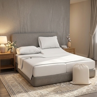 Parure de lit 5 pièces moderne en coton égyptien 100% (1000 fils) respirante et rafraîchissante, taille Split King, lavable en machine, douce et profonde