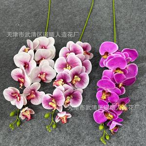 Fleur artificielle en soie Phalaenopsis 3D à 9 têtes Jinxi pour mariage, décoration intérieure, accessoires de photographie - Product Image 2