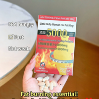 Capsules Minceur pour la Perte de Poids et le Métabolisme des Graisses, Coupe-Faim 16,8g pour le Contrôle de la Faim et le Soutien à la Mise en Forme