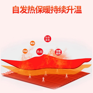 [<b>Heated</b> Lumbar Support Belt] For lumbar disc herniation and lumbar muscle strain, magnetic, thickened for autumn and winter, - Product Image 4