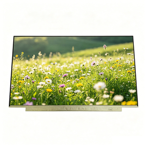 หน้าจอแล็ปท็อปสำรอง NE161QHM-NY1 BOE ขนาด 16.1 นิ้ว แบบ TFT WLED พร้อมไฟแบ็คไลท์ 15000H สี 16.7 ล้านสี รุ่นปกติ สีดำ - Product Image 3
