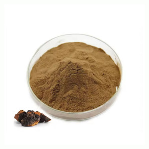 순수 천연 차가버섯 추출물 분말 식품 등급 차가버섯 추출물 - Product Image 6