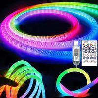 Kit de bande lumineuse LED néon RGBIC 5M à 360 degrés, effet de poursuite des couleurs, en nylon flexible et silicone, IP67, 5V, tressée